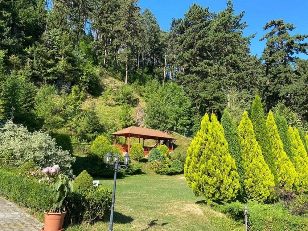 Bellavista Brasov Hotel ซาเชเล ภายนอก รูปภาพ