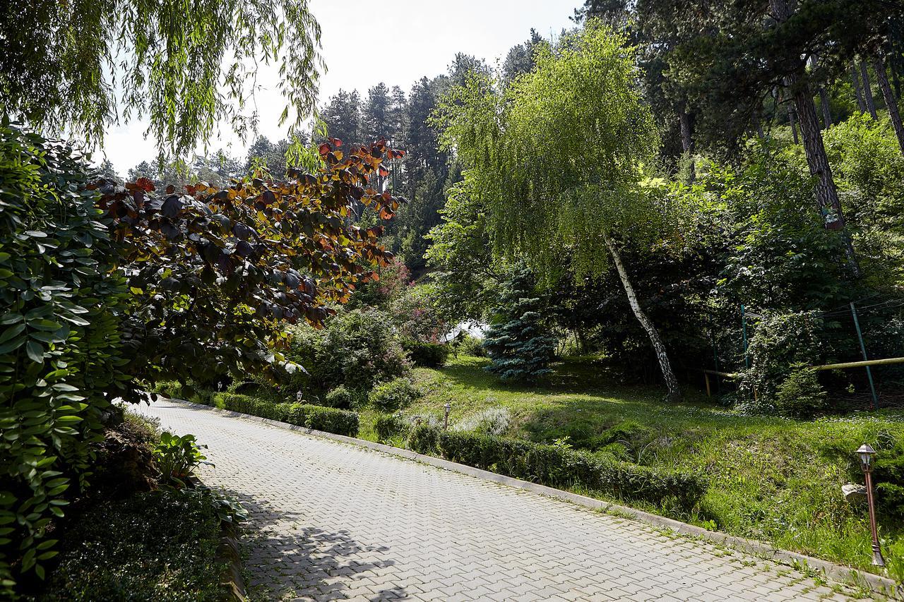 Bellavista Brasov Hotel ซาเชเล ภายนอก รูปภาพ